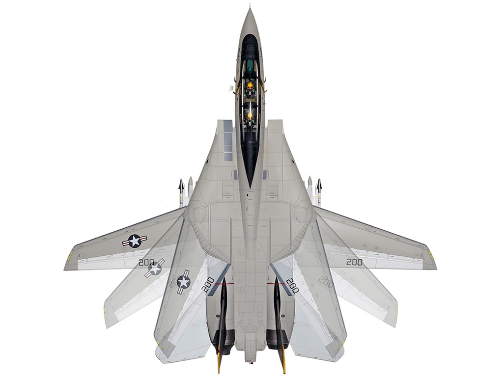 Grumman F-14A Tomcat  (Vista 10)