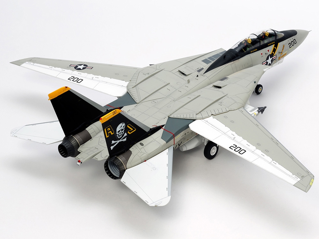 Grumman F-14A Tomcat  (Vista 3)