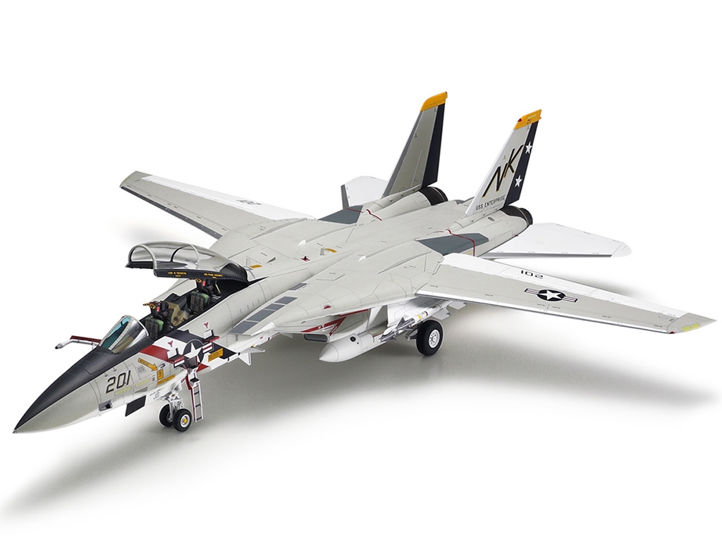 Grumman F-14A Tomcat  (Vista 4)