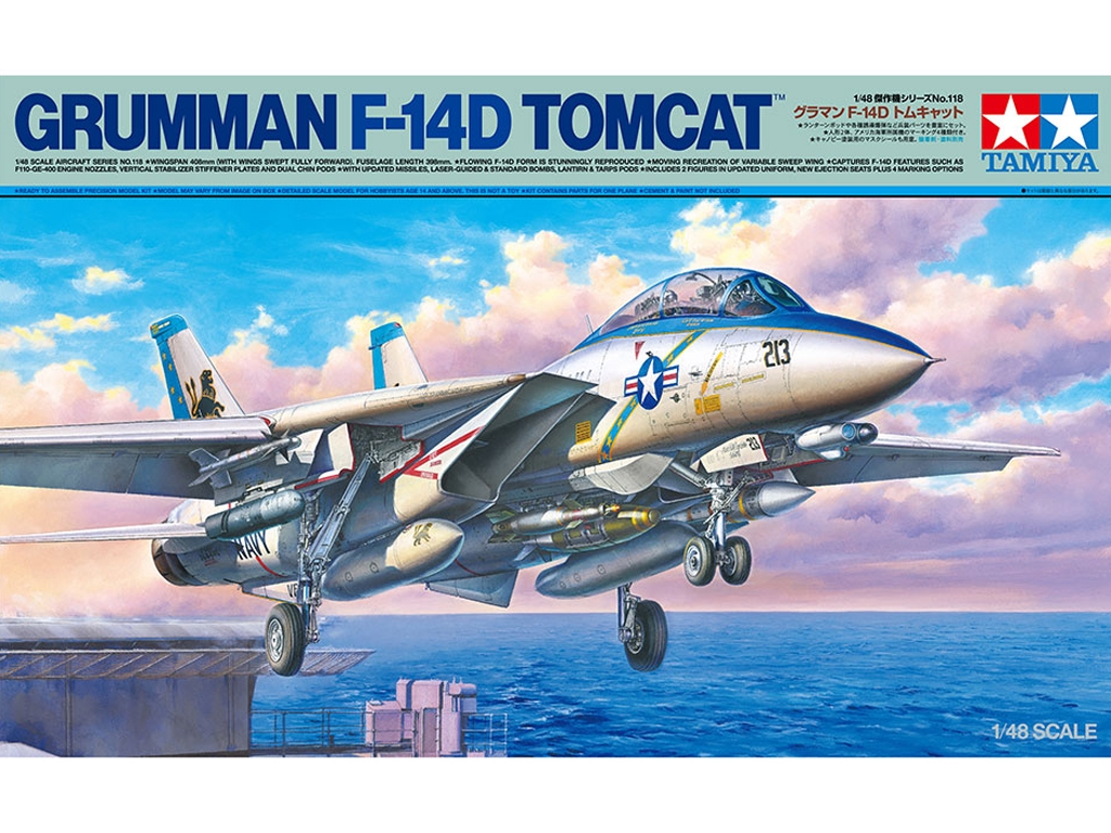 Grumman F-14D Tomcat  (Vista 1)