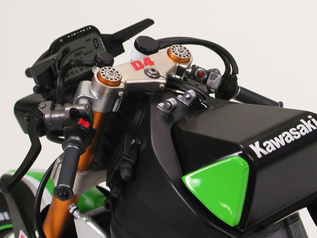 Kawasaki Ninja ZX-RR (Vista 5)