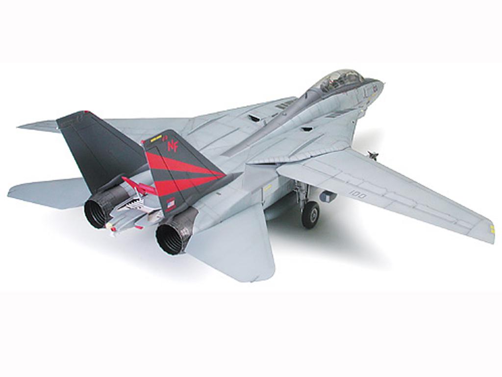 Grumman F-14A Tomcat Black Knights (Vista 4)