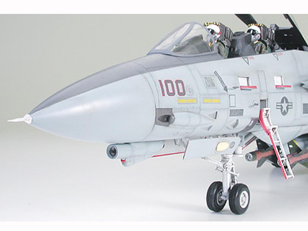 Grumman F-14A Tomcat Black Knights (Vista 5)