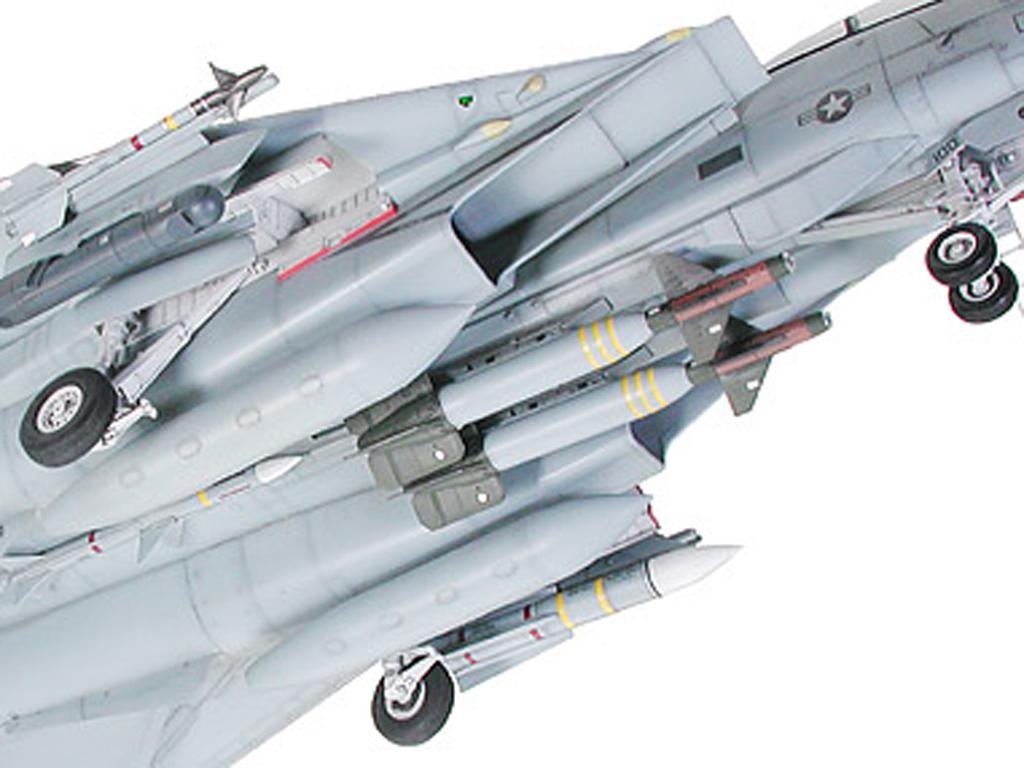 Grumman F-14A Tomcat Black Knights (Vista 7)