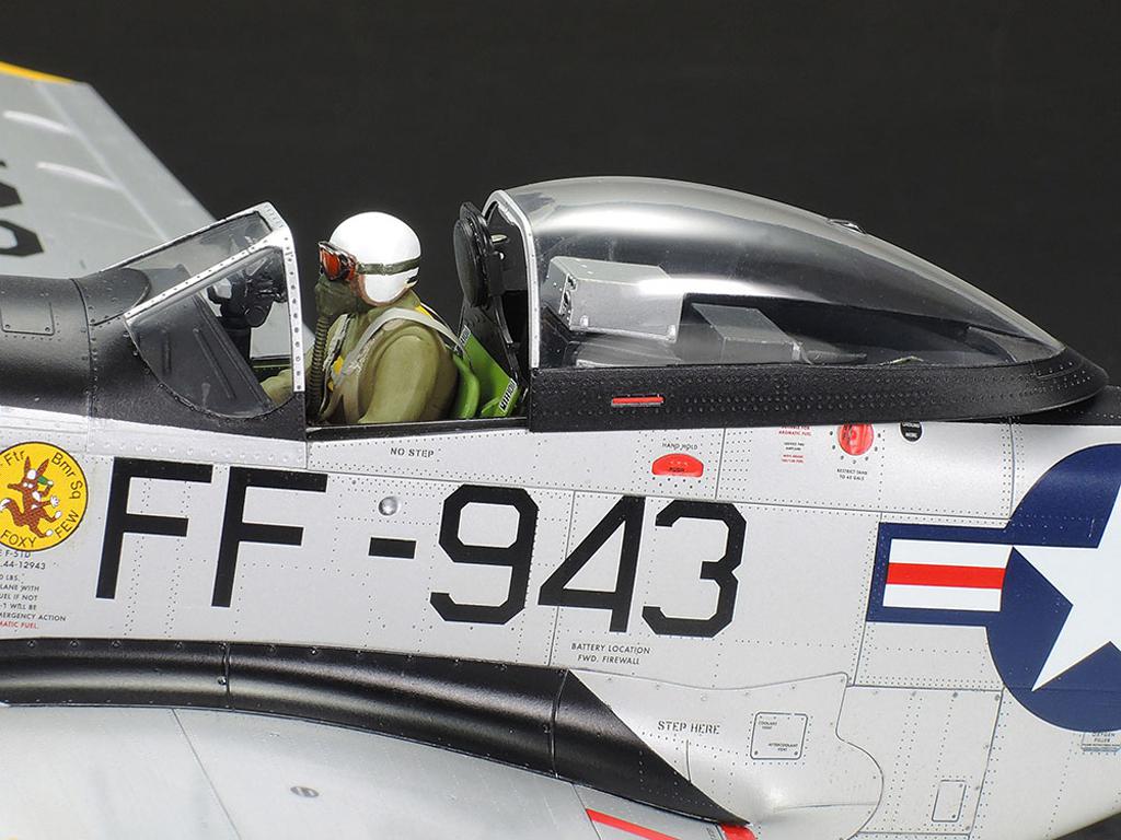F-51D Mustang Korean War (Vista 10)