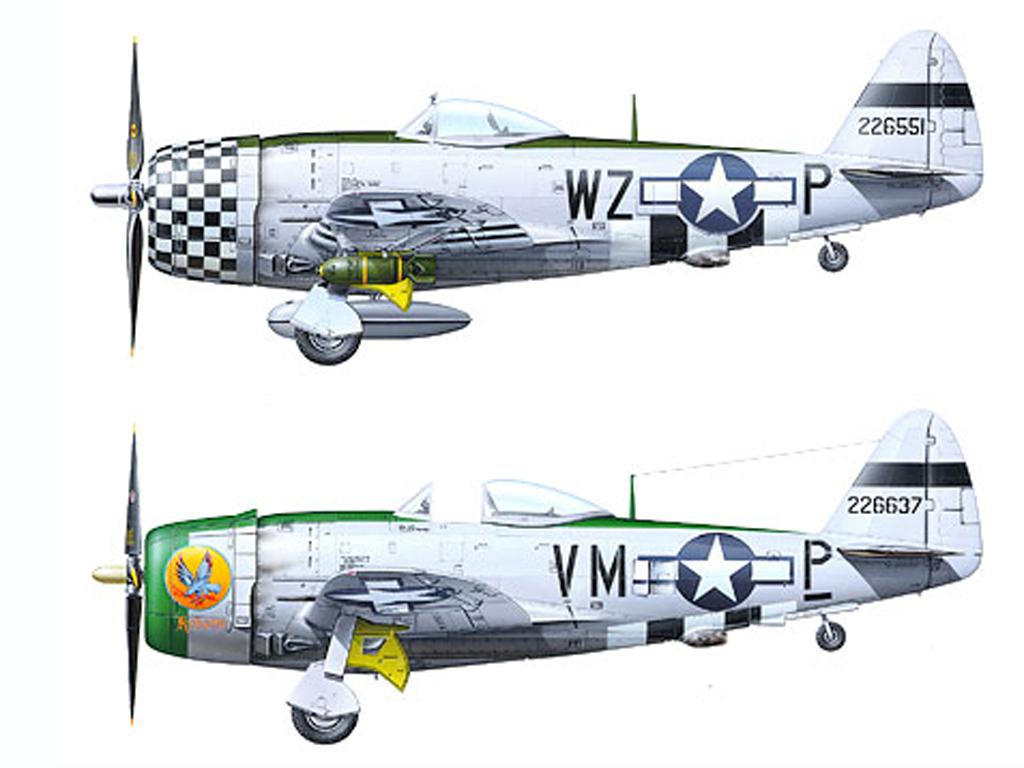 Republic P-47D Thunderbolt  (Vista 2)