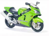 Kawasaki Ninja ZX-12R (Vista 11)