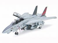 Grumman F-14A Tomcat Black Knights (Vista 10)