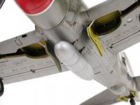 P-47D Thunderbolt Rasorback (Vista 8)