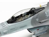 F-16 CJ Fighting Falcon (Vista 15)