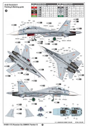 Russian Su-30MKK Flanker G  (Vista 2)