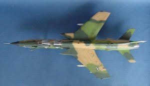 Republic F-105G Wild  (Vista 3)