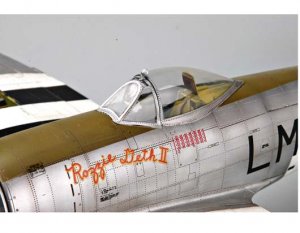 P-47D-30 Thunderbolt   (Vista 5)