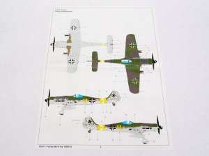 Focke-Wulf FW 190 D-9  (Vista 2)