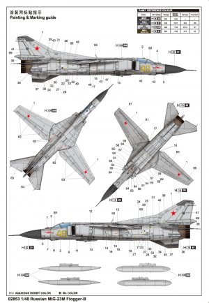 Russian MiG-23M Flogger-B   (Vista 2)