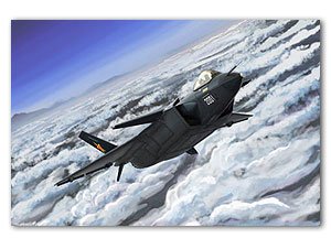 Chinese J-20 Mighty Dragon  (Vista 1)