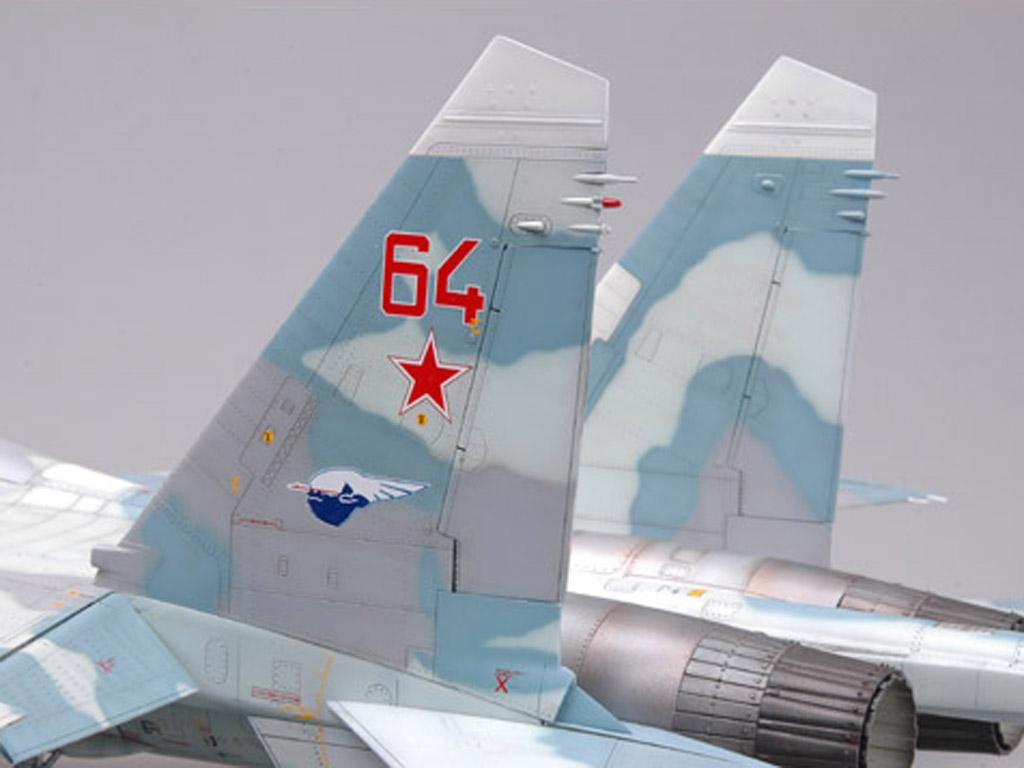 Su-27UB Flanker-C (Vista 6)