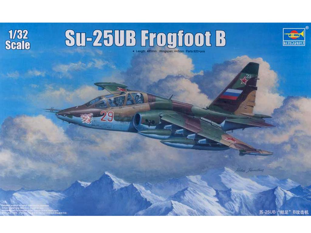 Su-25UB Frogfoot B (Vista 1)