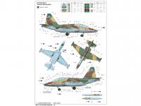 Su-25UB Frogfoot B (Vista 9)