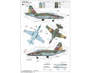 Su-25UB Frogfoot B (Vista 14)