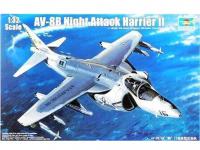 AV-8B Night Attack Harrier II  (Vista 9)