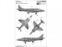 British Air Force Harrier GR.7 (Vista 10)