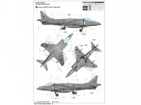 British Air Force Harrier GR.7 (Vista 16)