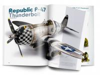 Weathering Effects on Aircraft. Técnicas de pintura y envejecimiento (Vista 5)