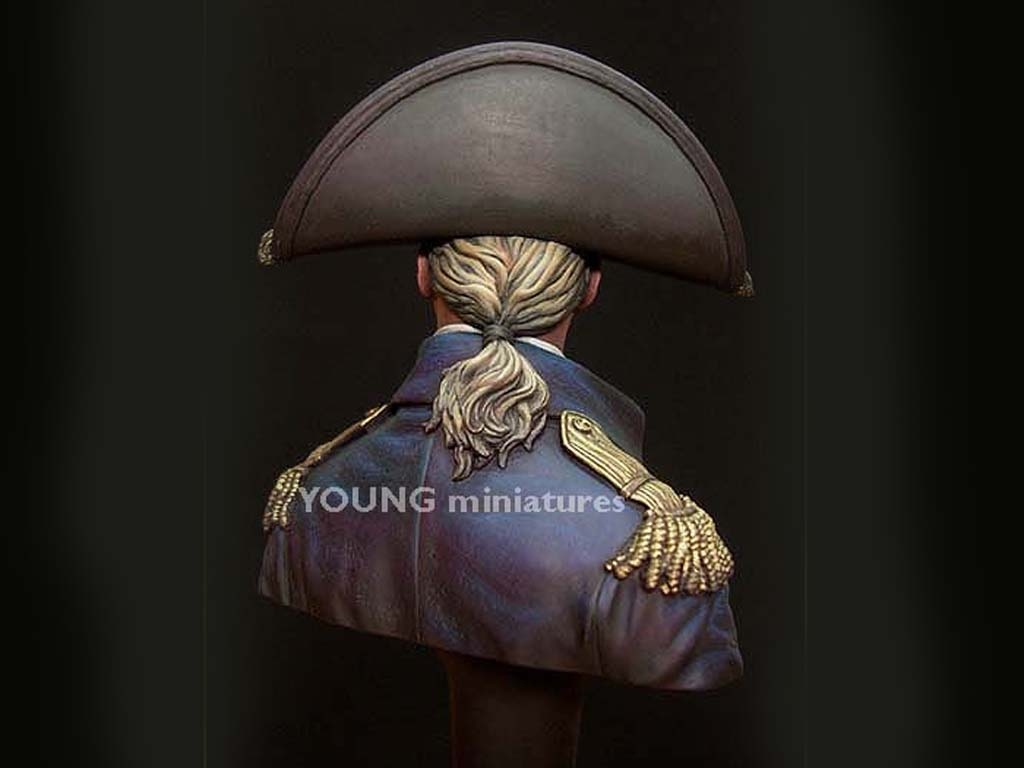 Royal Navy Captain 1806  (Vista 4)