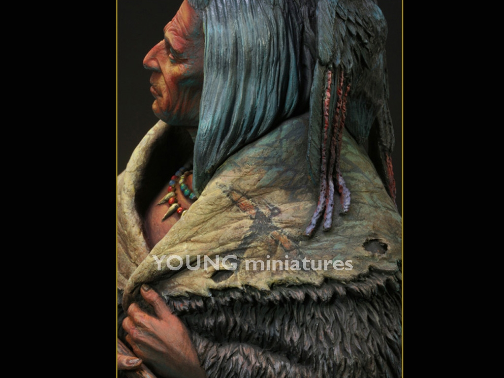 Blackfoot Raven Bearer  (Vista 11)