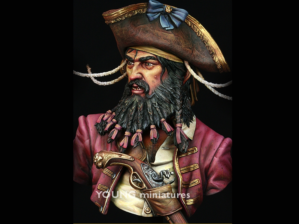 Black Beard 1718 - Queen Anne's Revenge  (Vista 8)