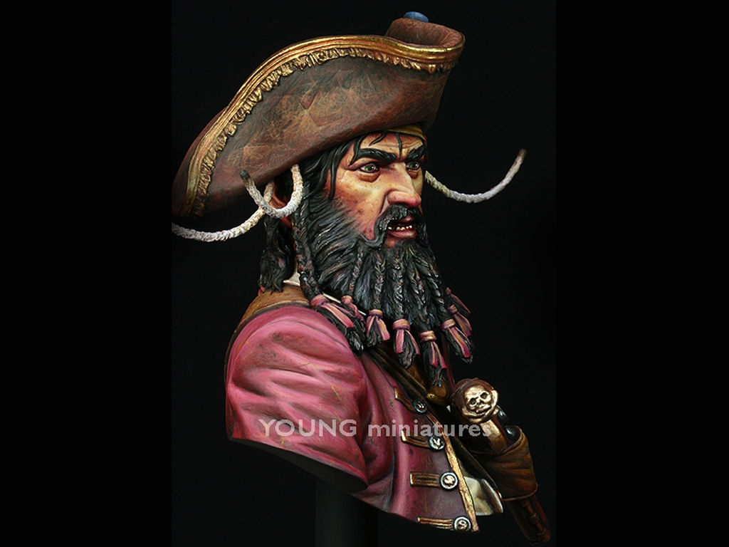 Black Beard 1718 - Queen Anne's Revenge  (Vista 9)