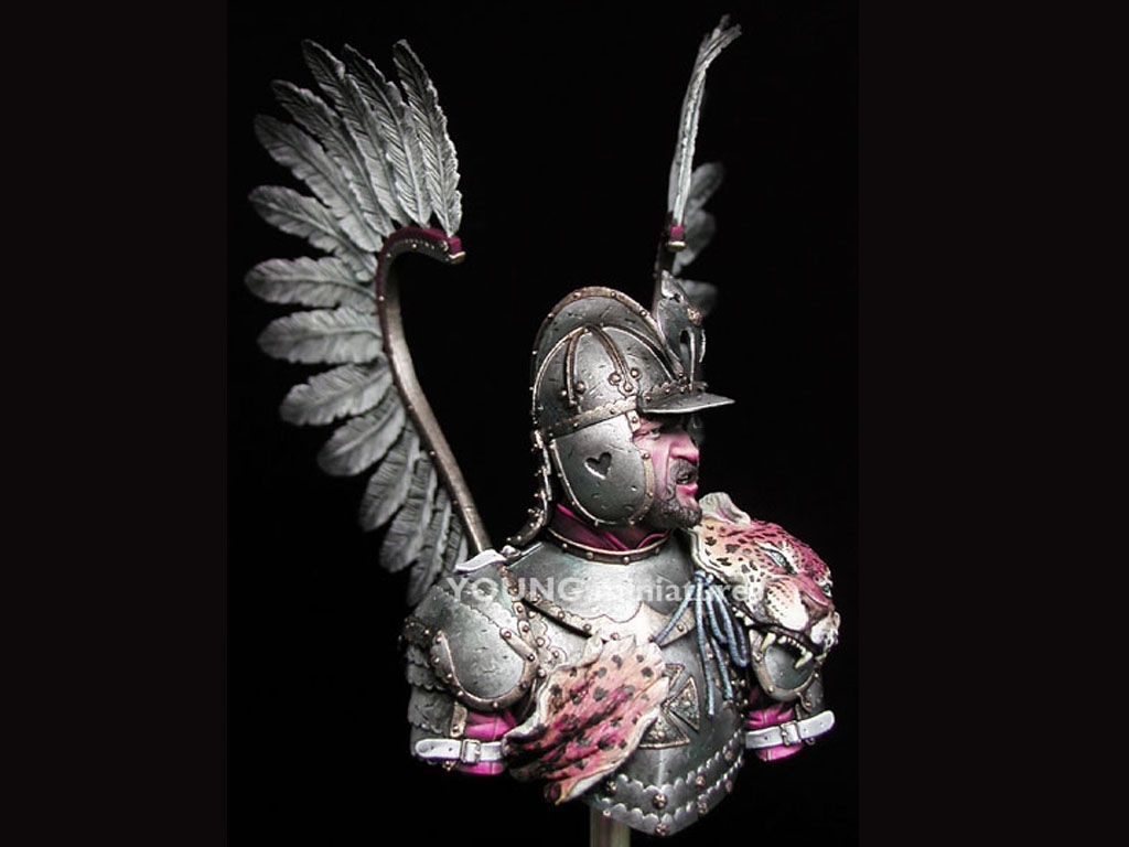 Polish Winged Hussar 17th Centry  (Vista 7)