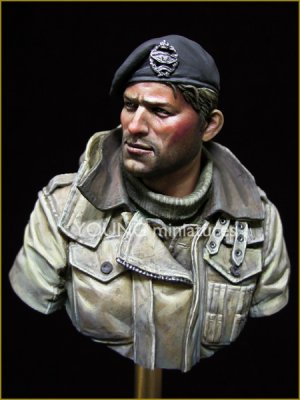 British Tank Crew  (Vista 2)