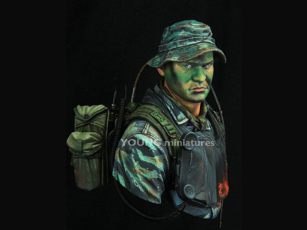 US Navy Seal Vietnam  (Vista 2)