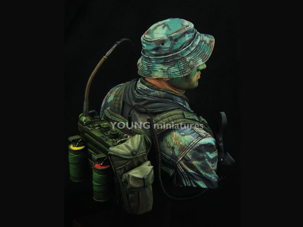 US Navy Seal Vietnam  (Vista 3)