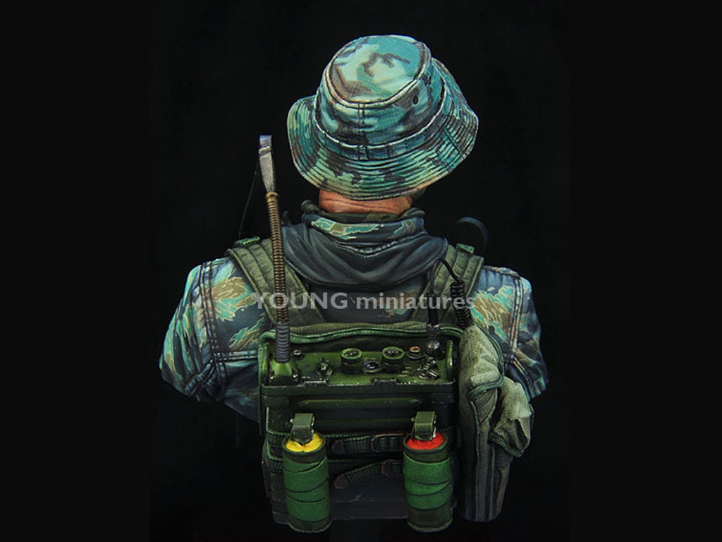 US Navy Seal Vietnam  (Vista 4)