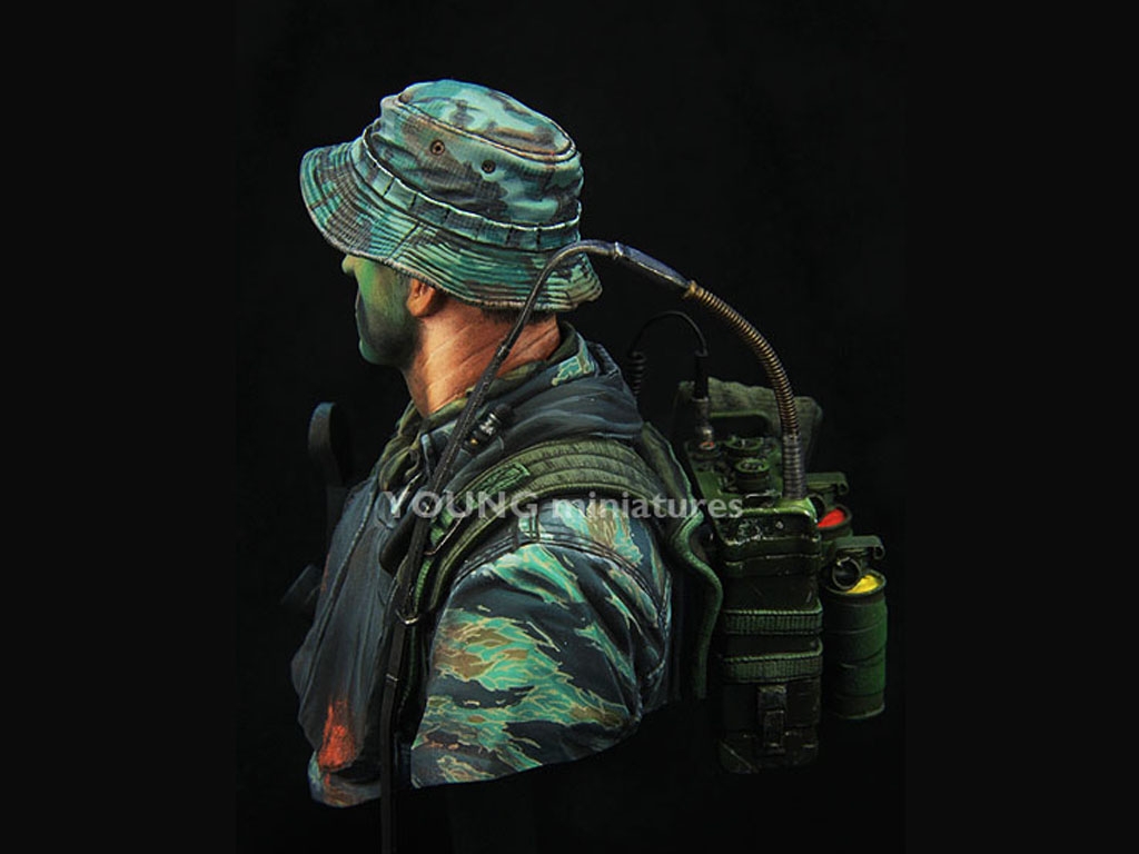 US Navy Seal Vietnam  (Vista 5)