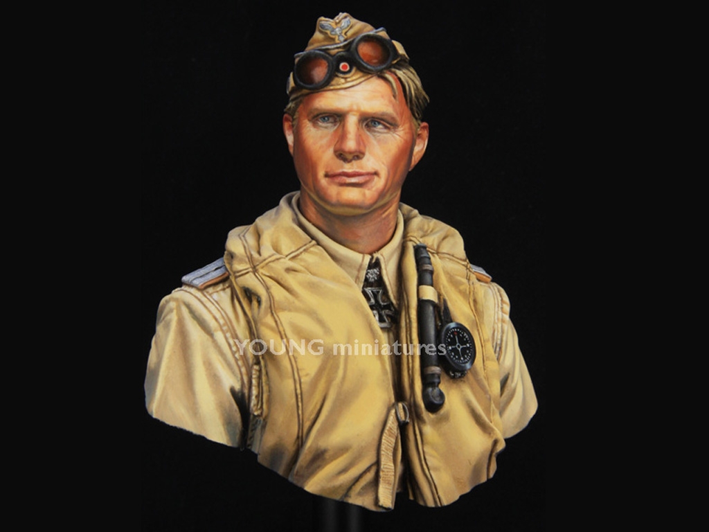 Luftwaffe Pilot North Africa  (Vista 2)