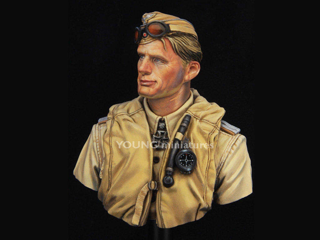 Luftwaffe Pilot North Africa  (Vista 3)