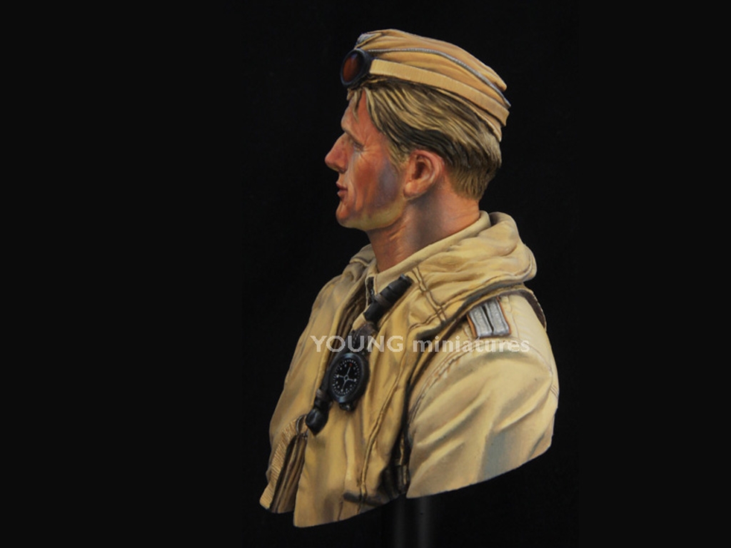 Luftwaffe Pilot North Africa  (Vista 4)