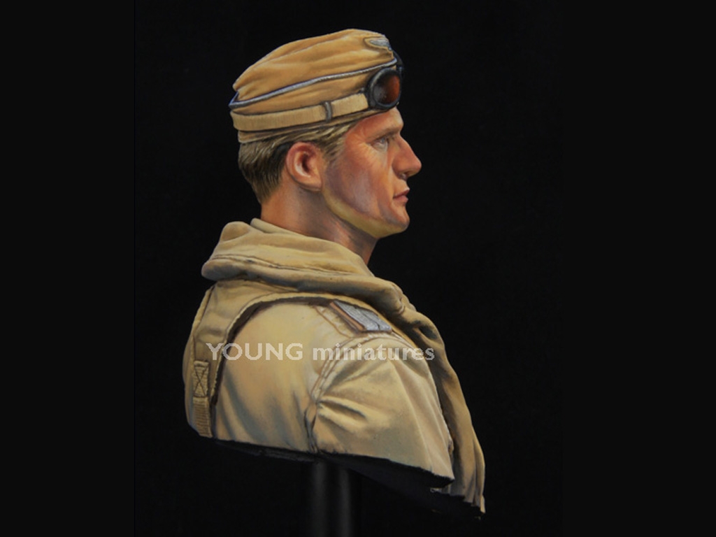 Luftwaffe Pilot North Africa  (Vista 7)