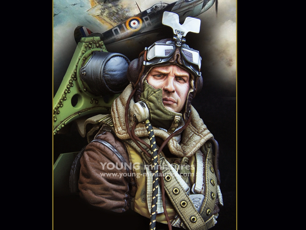 RAF Spitfire Mk.l Pilot WWll  (Vista 1)