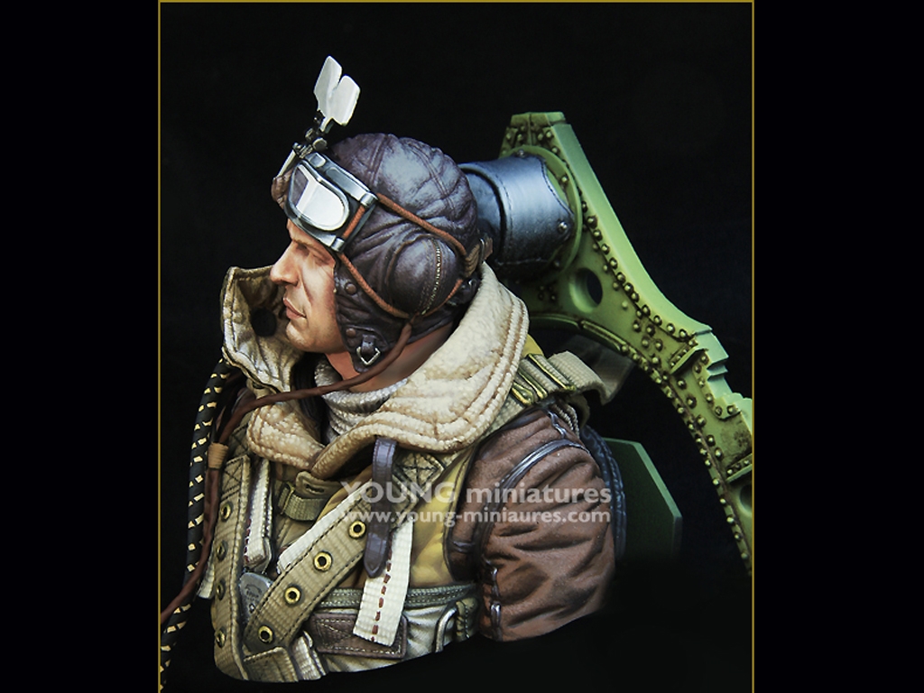 RAF Spitfire Mk.l Pilot WWll  (Vista 4)
