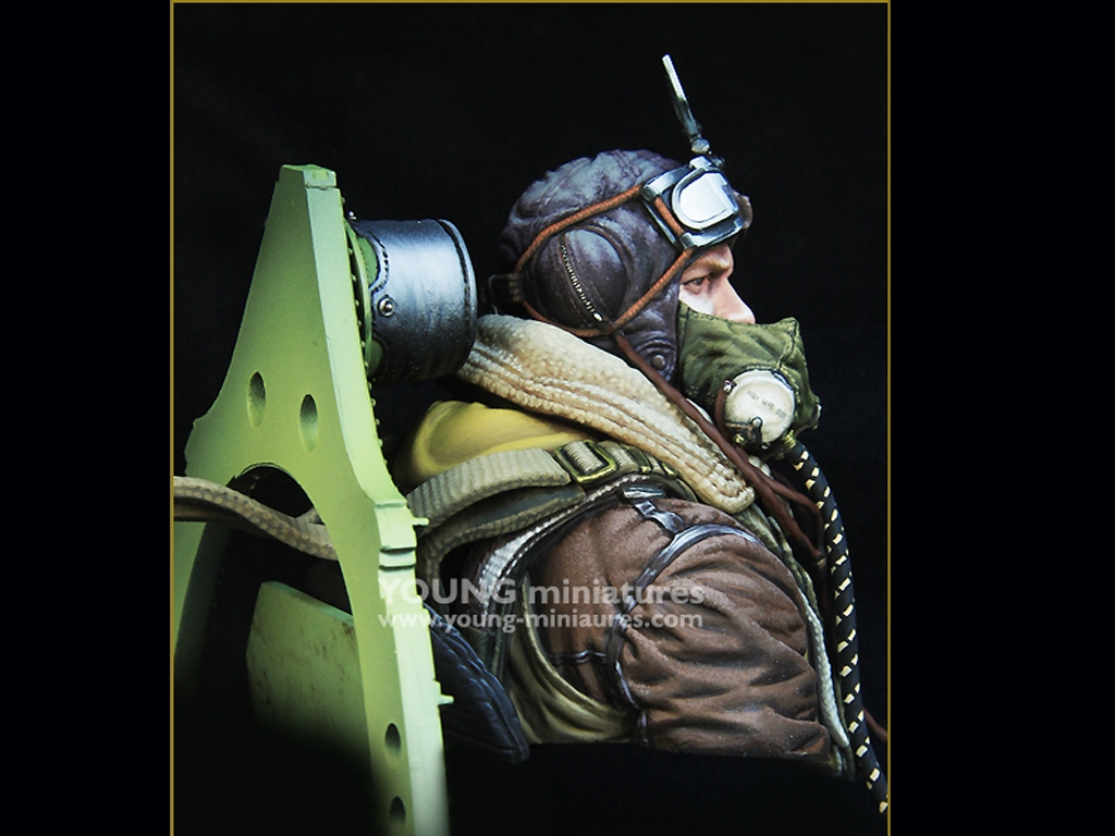 RAF Spitfire Mk.l Pilot WWll  (Vista 7)