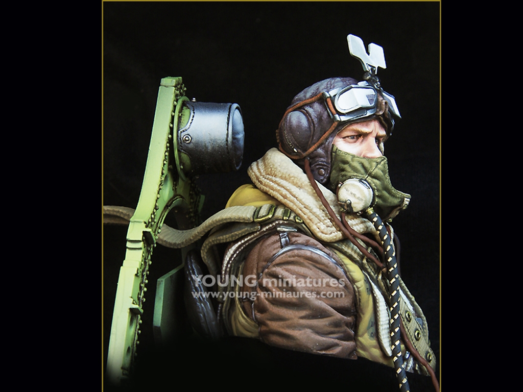 RAF Spitfire Mk.l Pilot WWll  (Vista 8)