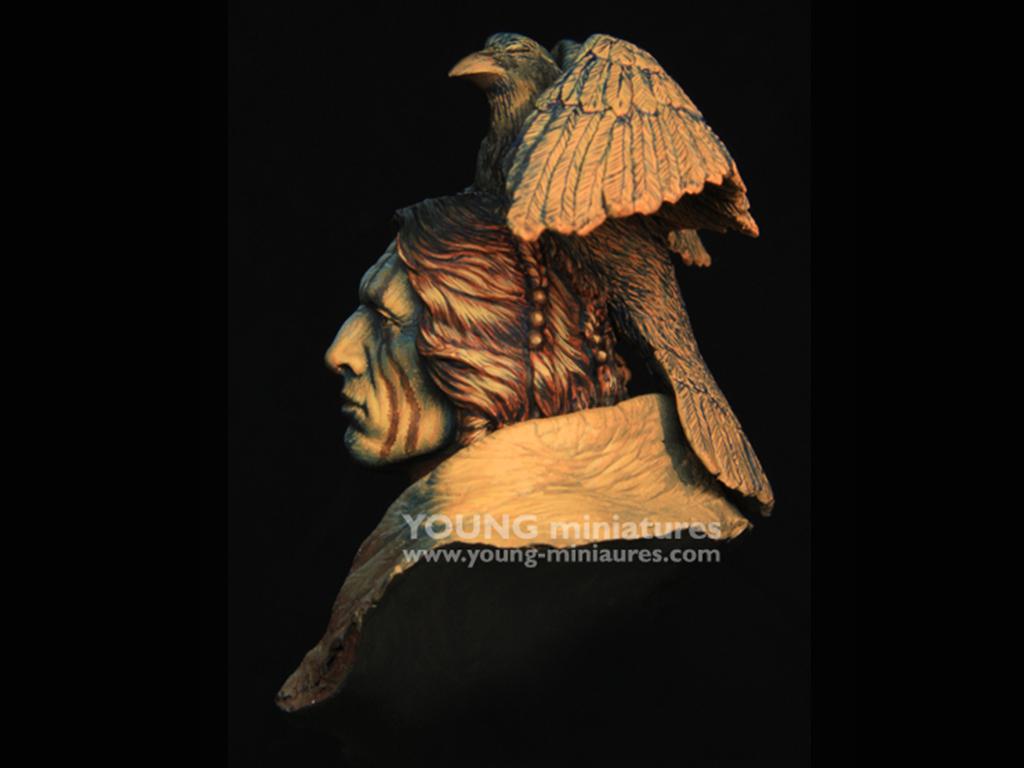 Raven Sorcerer (Vista 3)