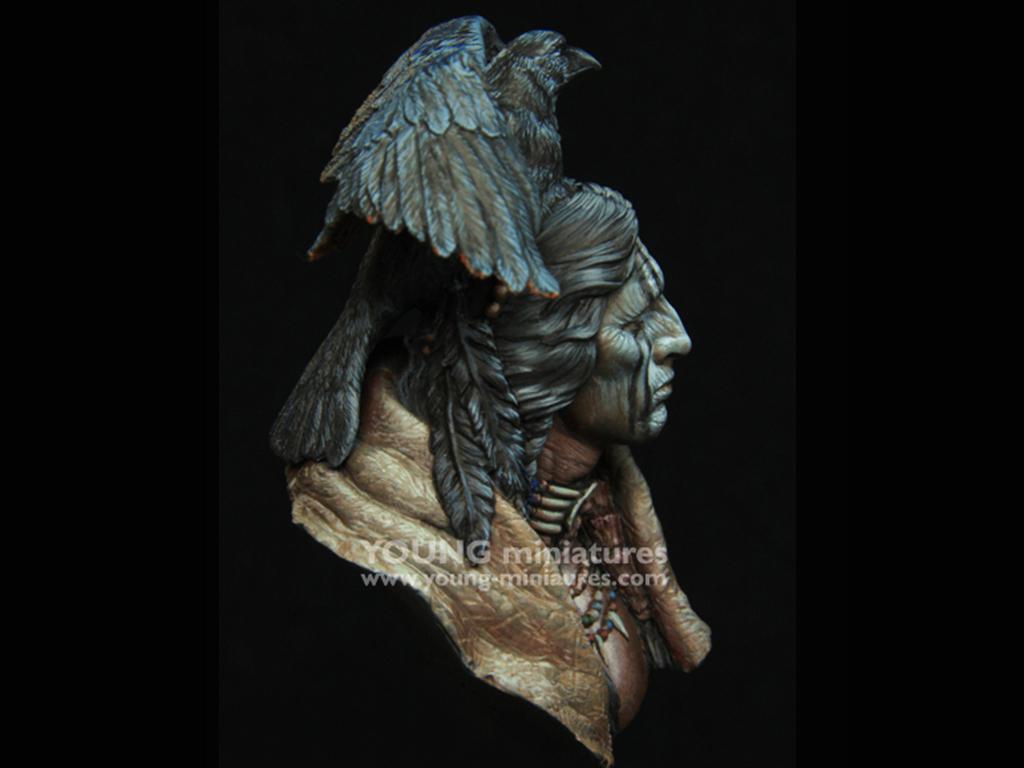 Raven Sorcerer (Vista 7)