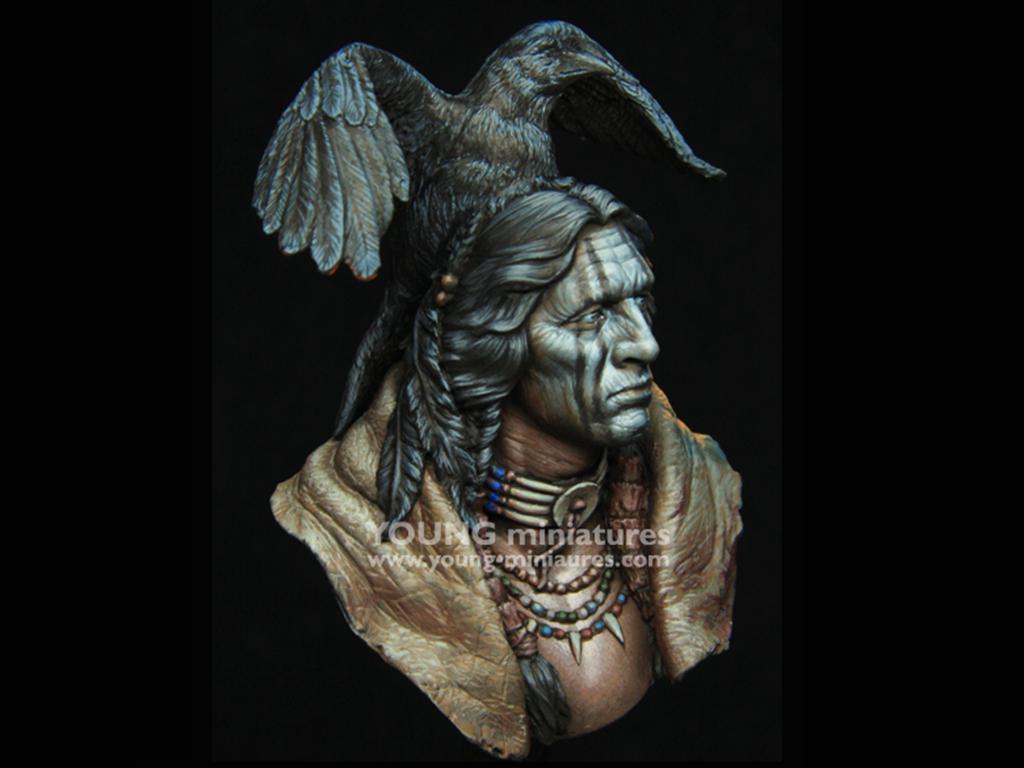Raven Sorcerer (Vista 8)