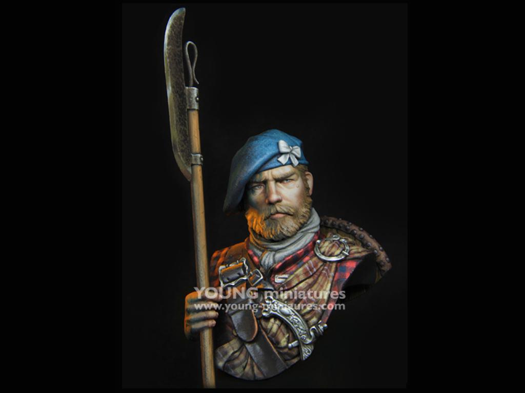 Scottish Highlander (Vista 1)